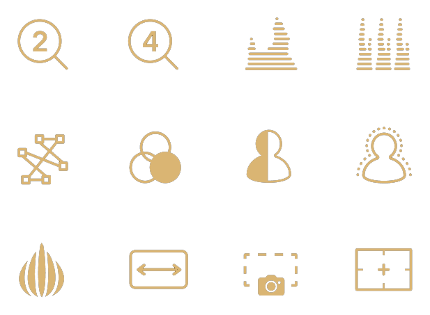 symbols for different monitoring tools of the atmos ninja ultra, Atomos Ninja Ultra